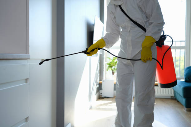 Mold Testing and Removal in Howe, TX