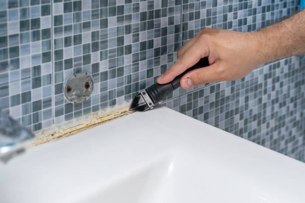 Best Certified Mold Removal  in Howe, TX