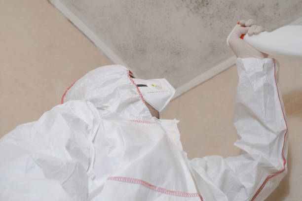 Mold Removal and Inspection in Howe, TX