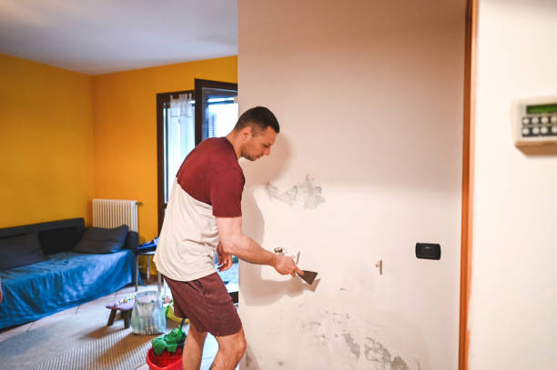Best Office Mold Removal Services  in Howe, TX
