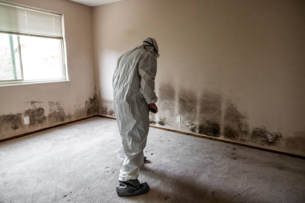 Crawl Space Mold Removal in Howe, TX