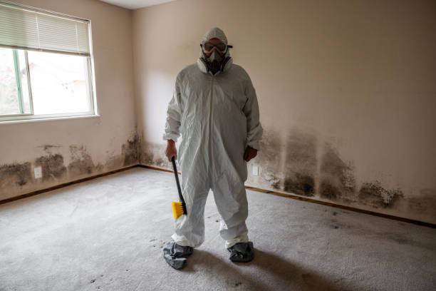 Best Mold Damage Repair  in Howe, TX